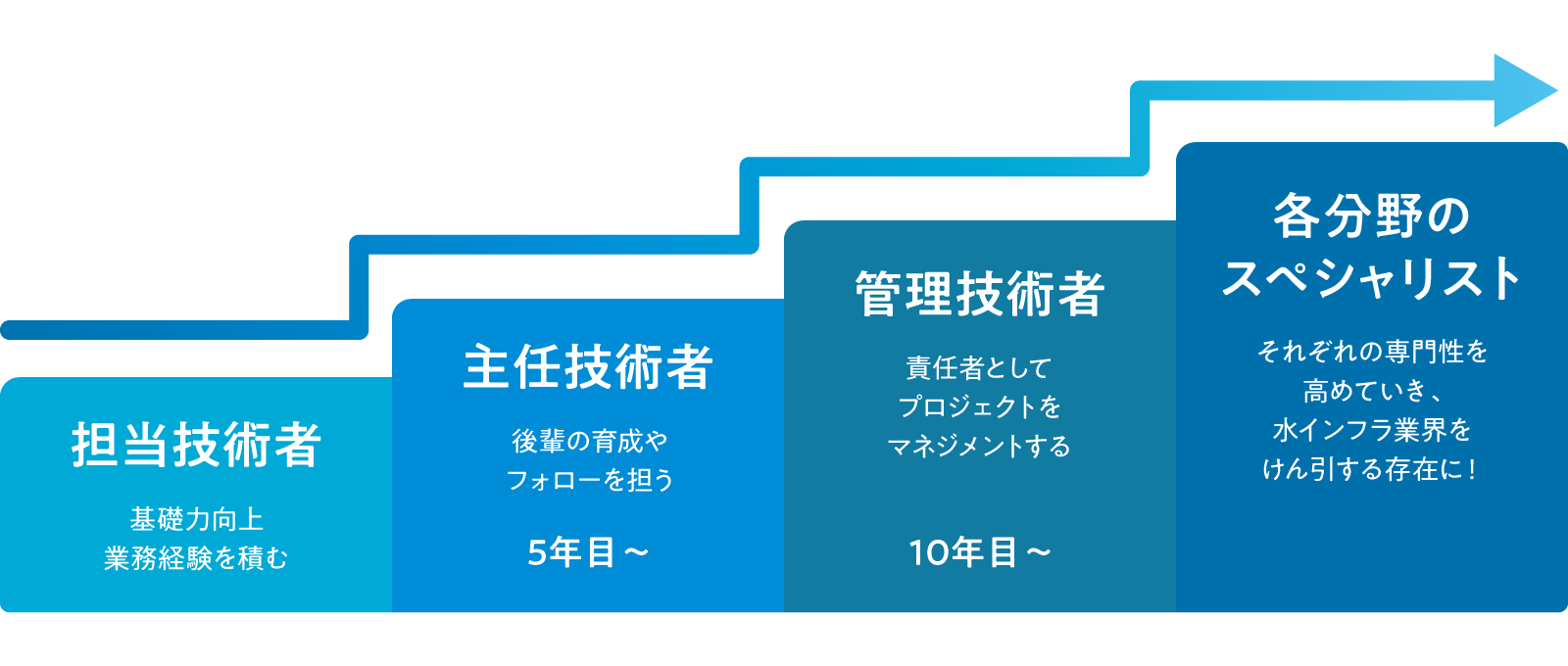 担当技術者（基礎力向上・業務経験を積む）→主任技術者（後輩の育成やフォローを担う５年目～）→管理技術者（責任者としてプロジェクトをマネジメントする）10年目～→各分野のスペシャリスト（それぞれの専門性を高めていき、水インフラ業界をけん引する存在に！）